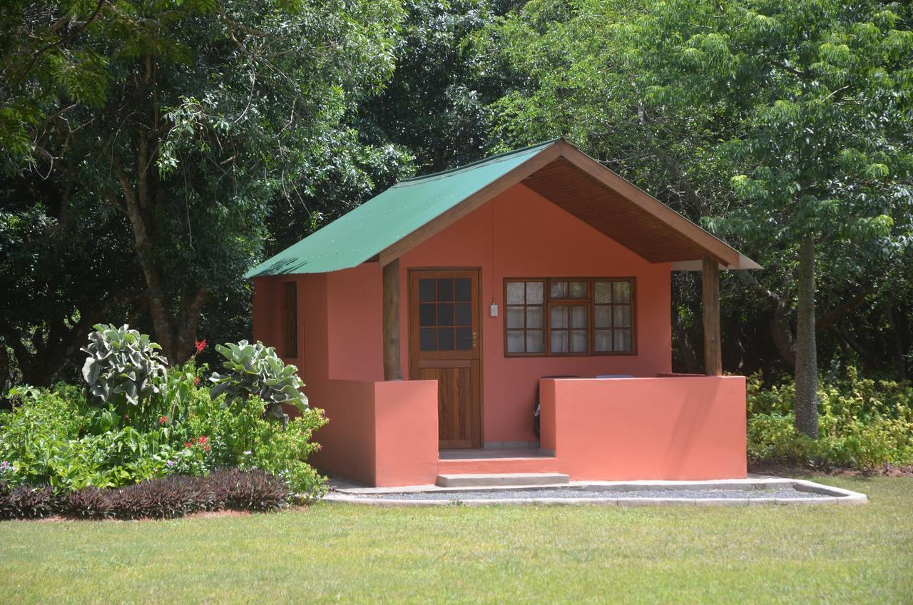Bushbaby Lodge & Camping Hluhluwe Exterior foto