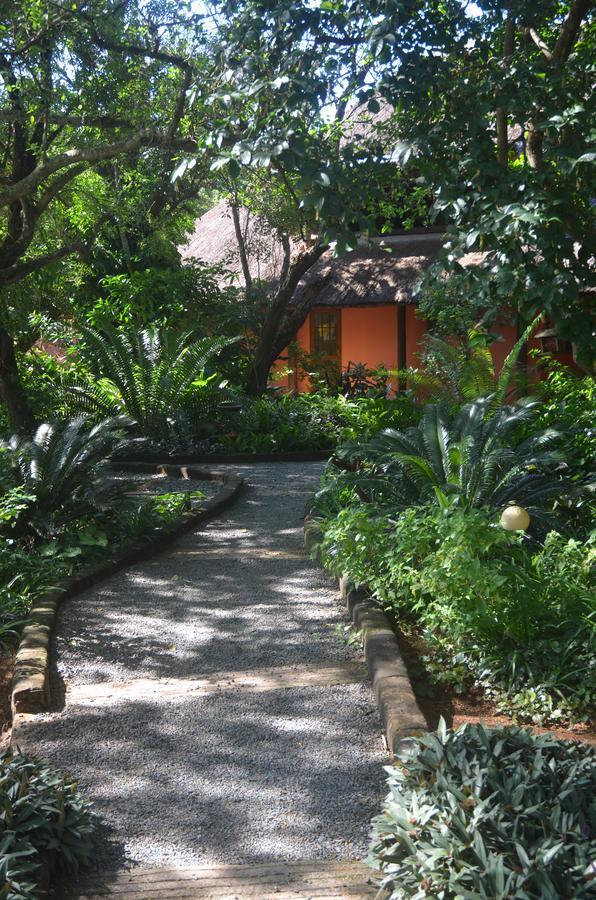 Bushbaby Lodge & Camping Hluhluwe Exterior foto