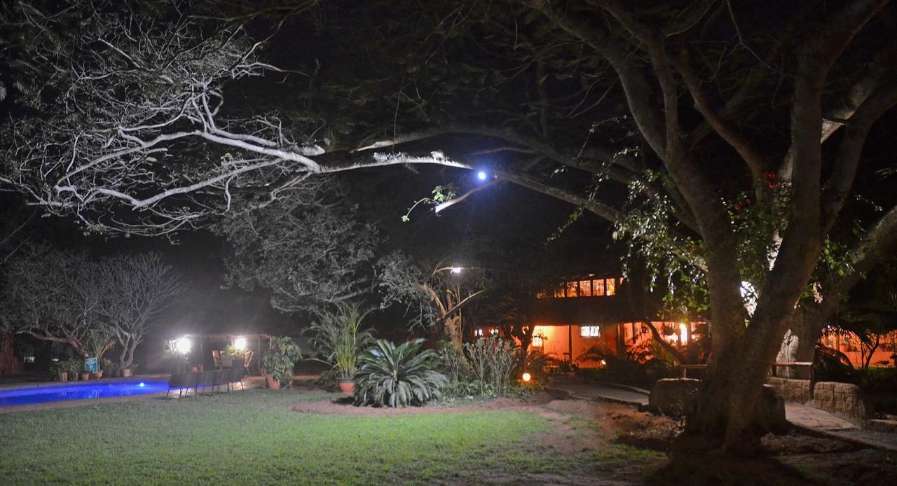 Bushbaby Lodge & Camping Hluhluwe Exterior foto