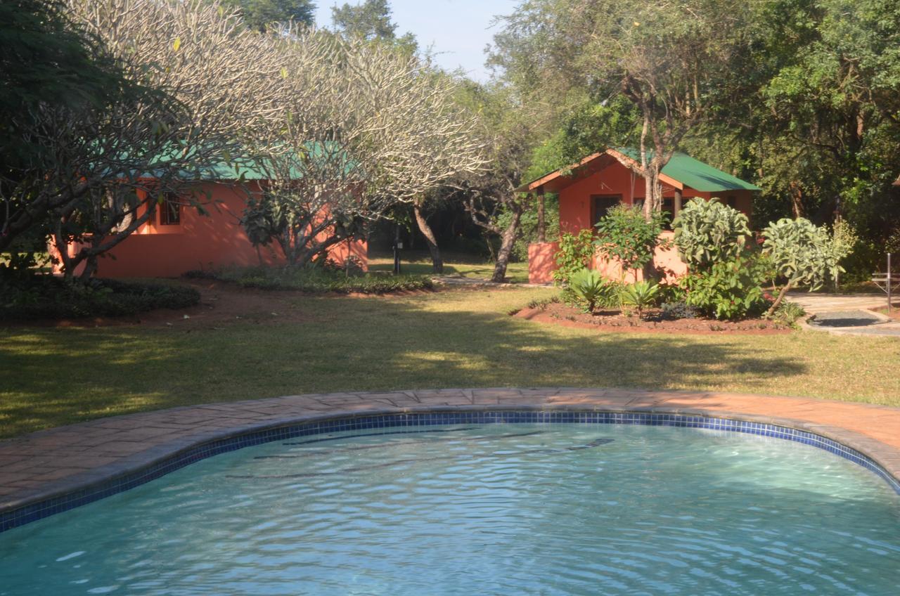 Bushbaby Lodge & Camping Hluhluwe Exterior foto
